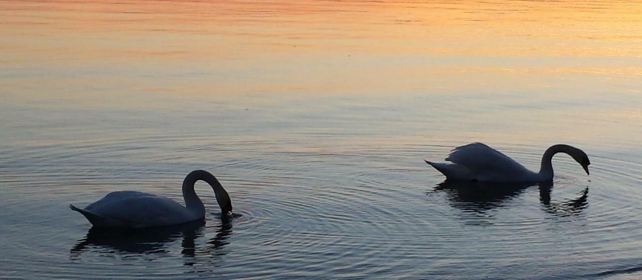 I Tulipani Di Anna Διαμέρισμα Castiglione del Lago Εξωτερικό φωτογραφία