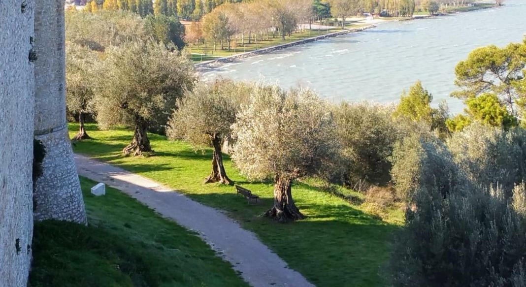 I Tulipani Di Anna Διαμέρισμα Castiglione del Lago Εξωτερικό φωτογραφία